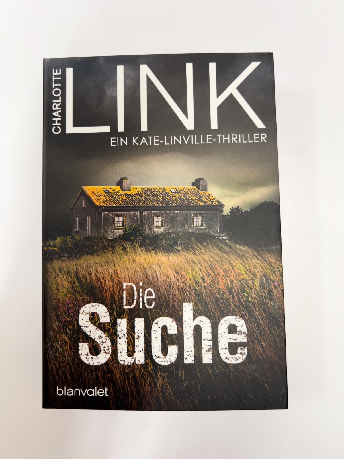 Paperback, Thriller, Roman, Haus, Feld