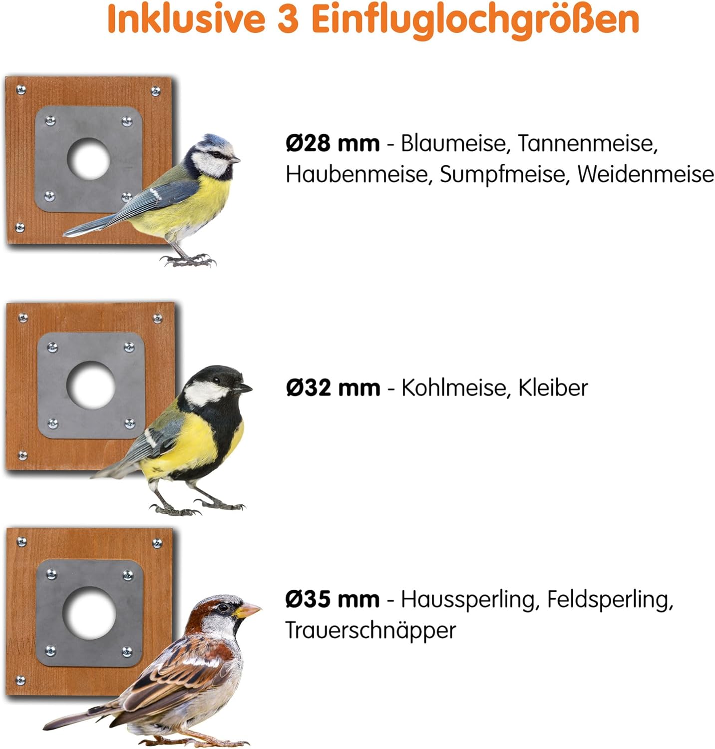 dobar Großer Nistkasten Flachdach aus Holz inklusive HD WiFi-Kamera und App mit austauschbaren Einfluglöchern - 35,5 x 22,5 x 38,5 cm  Grün-Braun