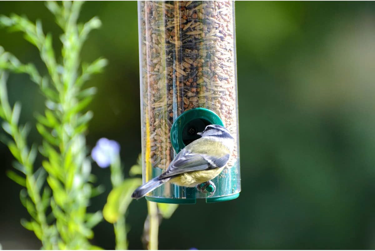 Dobar Vogel Futtersäule mit Anflugstangen hängend Wildvogelfutterspender