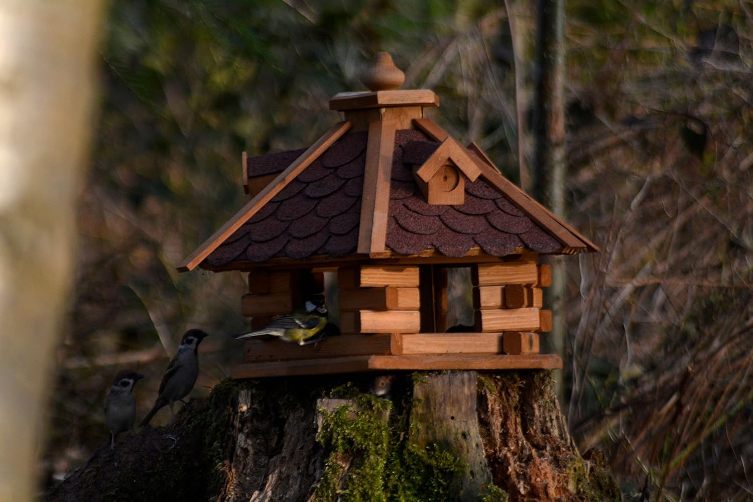 dobar Vogelfutterhaus Bitumenschindeldach 6-eckig Vogelhaus Vogelfutterstation Futtersilo Vogelvilla rot