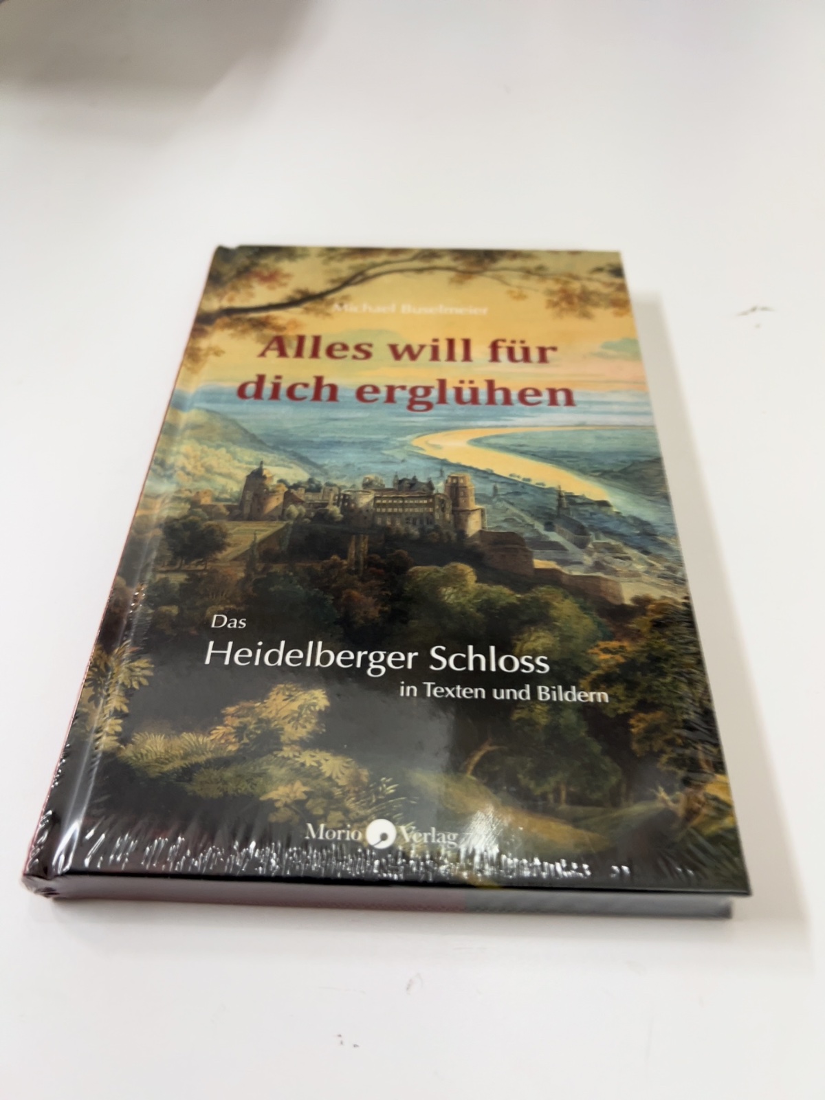 Buch, Heidelberger Schloss, Schloss, Bildband, Reiseliteratur