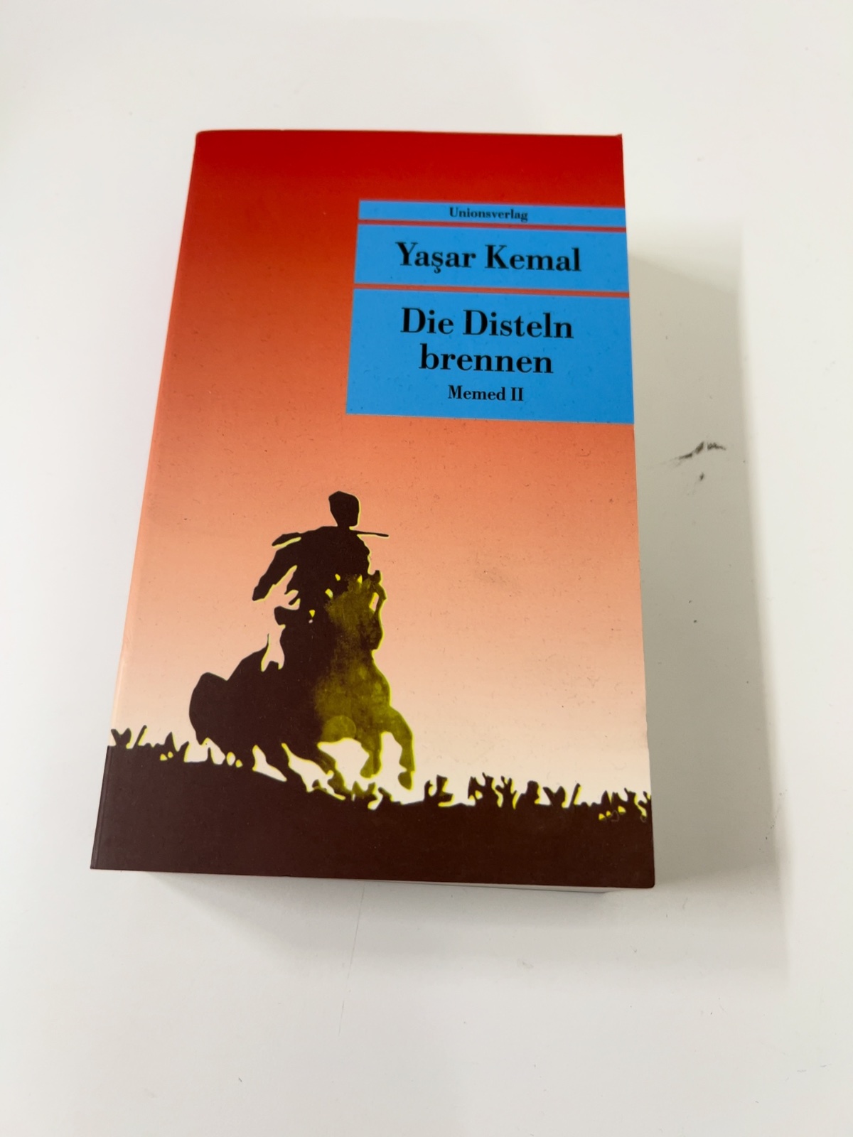 Taschenbuch, Roman, Buchcover, Silhouette, Kavallerie