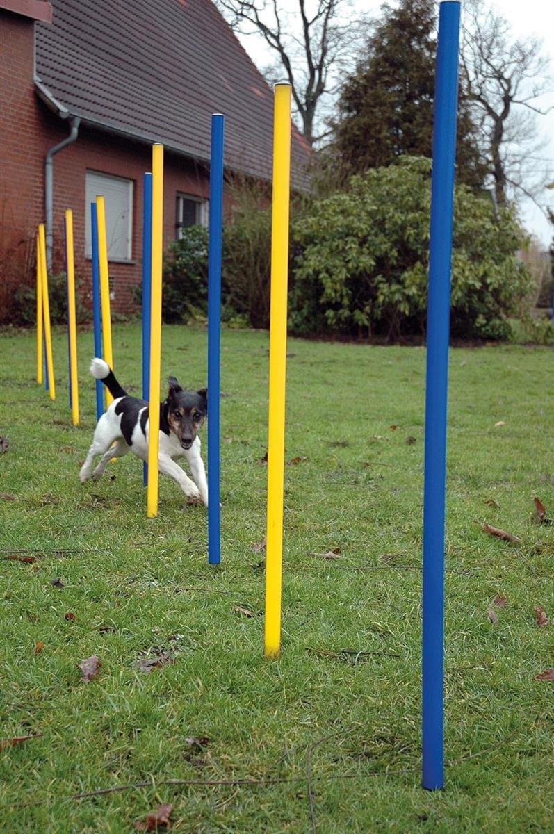 Dobar Agility Slalomset 12 teiliges Agility Set für Hunde Slalomstangen #D329