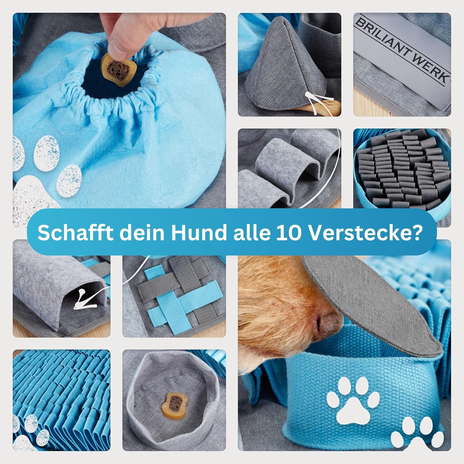 Briliantwerk Schnüffelteppich Hund – Extrem widerstandsfähiges Material - 10 Trainingselemente und 3 Schwierigkeitsstufen Intelligenzspielzeug blau