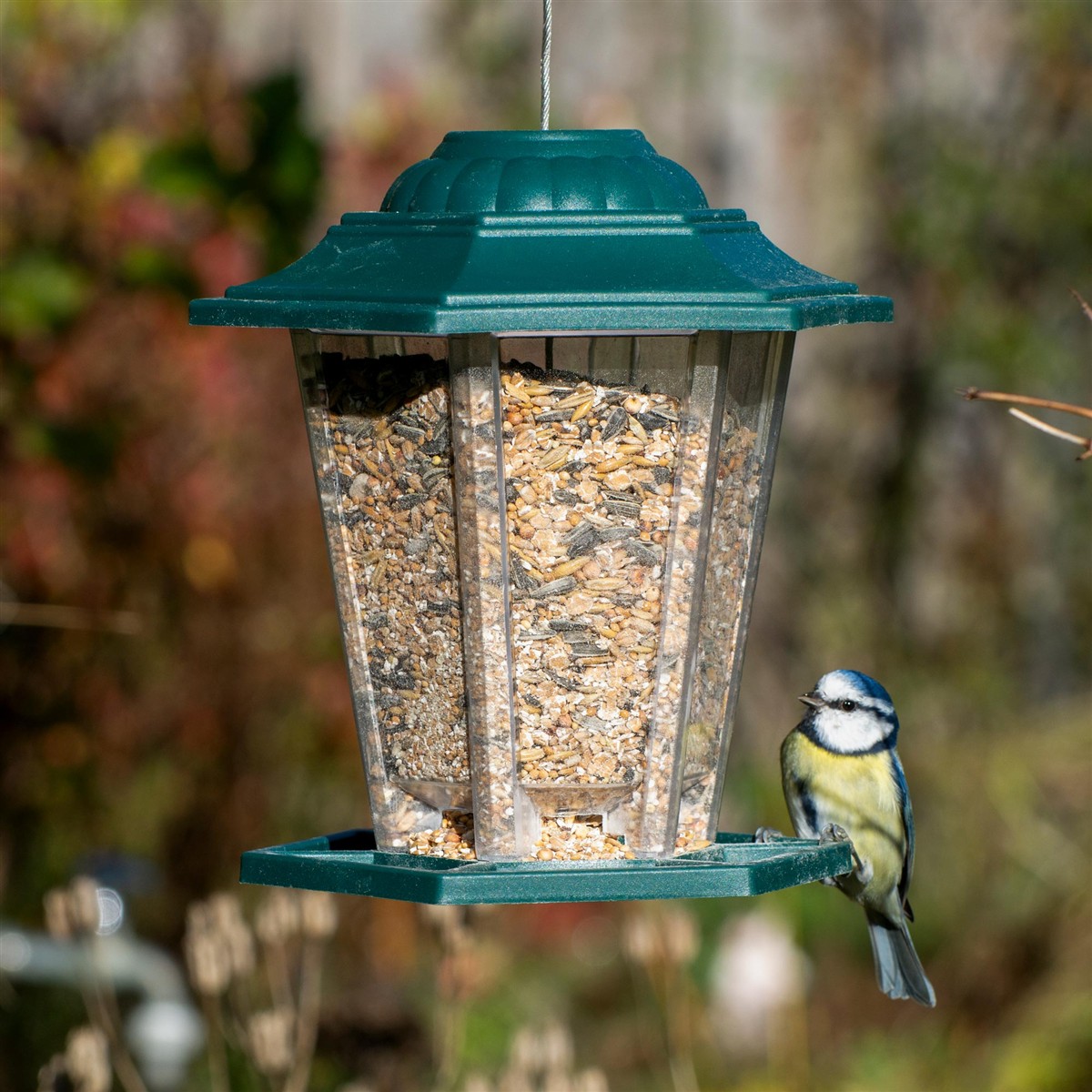 Vogelfutter, Futterautomat, Tierfutter, Vogelhaus, Gartenbedarf