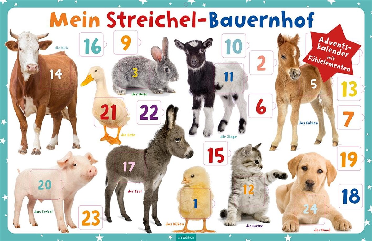 Tierbild, Tiere, Adventskalender, Haustier, Kuh