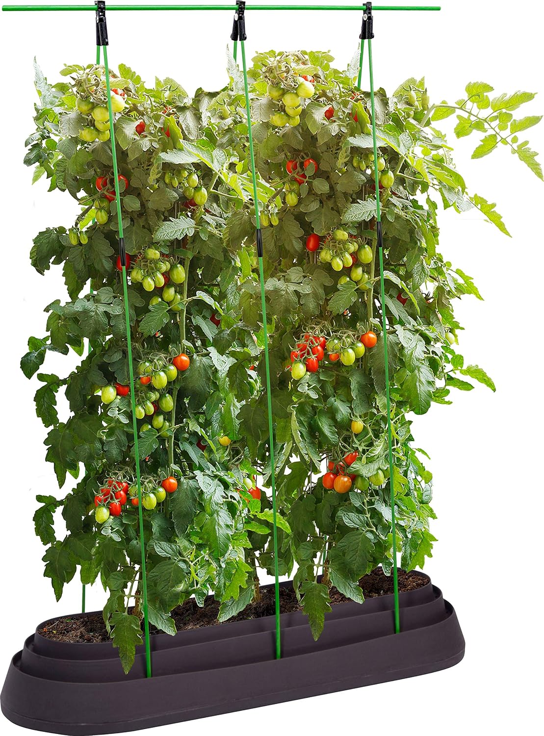 Dobar Tomatenbeet Tomatentopf mit Rankhilfe Tomatenzüchter Tomatenhaus Tomaten-Anzucht Topf