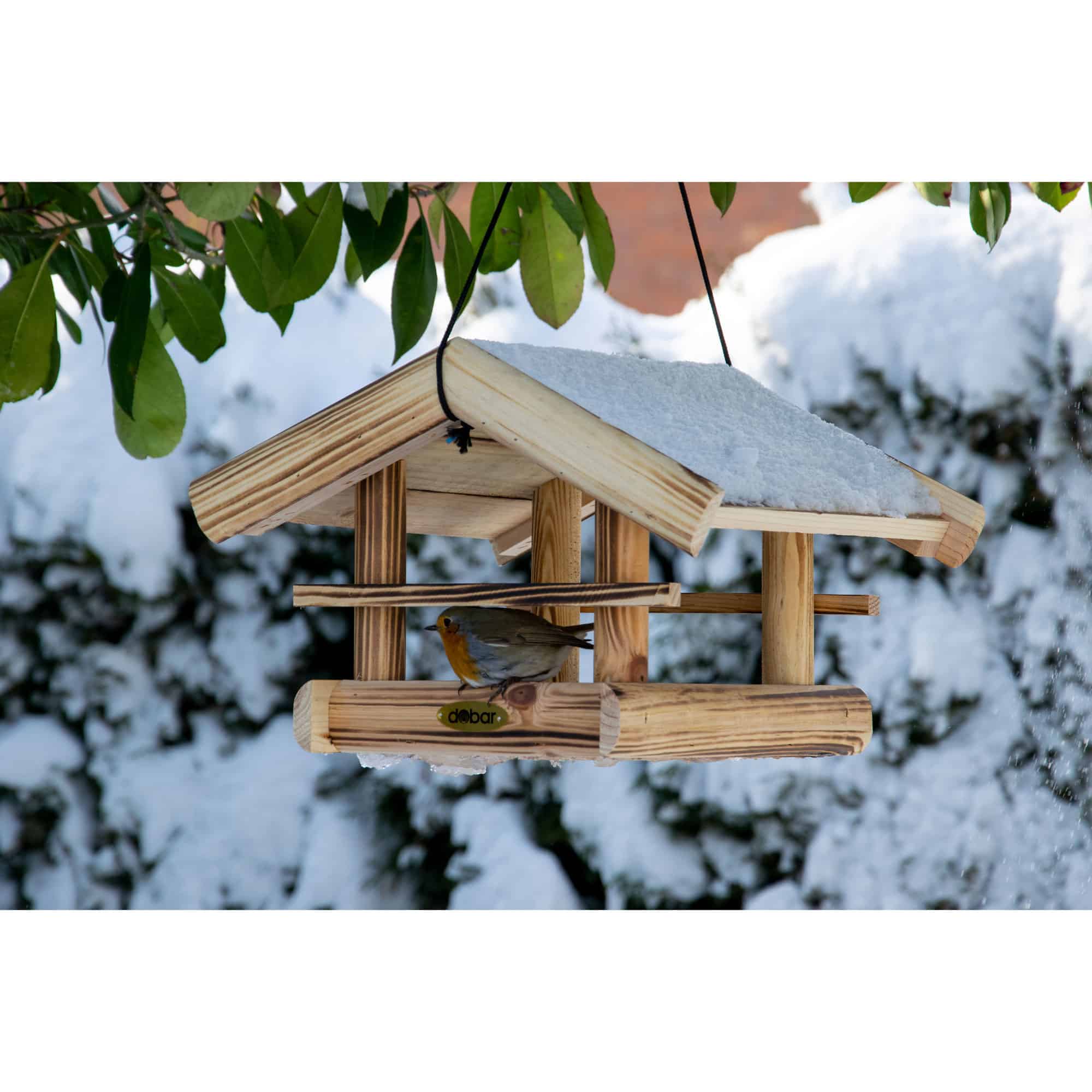 Vogeltränke, Vogelfutterspender, Holz, Schneebedeckt, Vogelschutz
