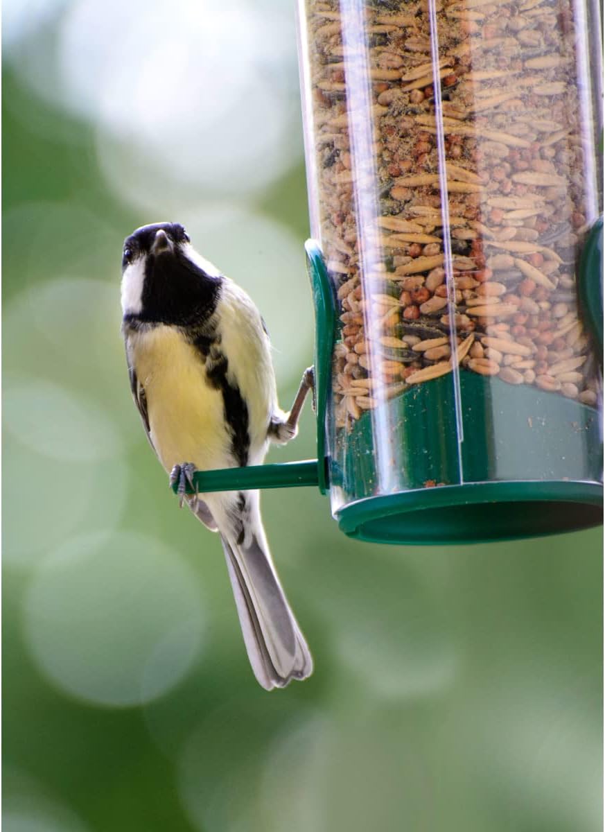 Dobar Vogel Futtersäule mit Anflugstangen hängend Wildvogelfutterspender