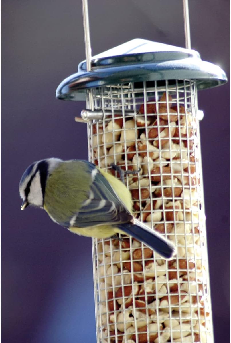 dobar Kompakte Vogelfuttersäule mit Anflugstangen  Wildvogelfutterspender für Nüsse - Vogelfutterstation Metall - Futterspender für Vögel in Garten/Terrasse/Balkon  Ø 9,5 x 23 cm - Grün