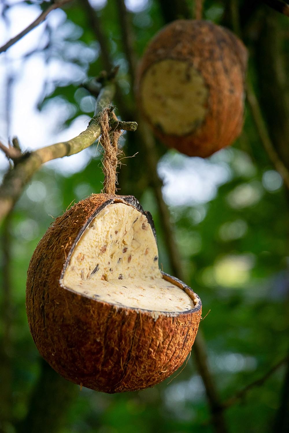 dobar Premium Vogelfutter Mix - Gefüllte Kokosnüsse und Pinienzapfen mit Fettfutter für Wildvögel - hochwertige Vogelfuttermischung im Set - Ganzjahresfutter für Garten/Terrasse - 6 teilig