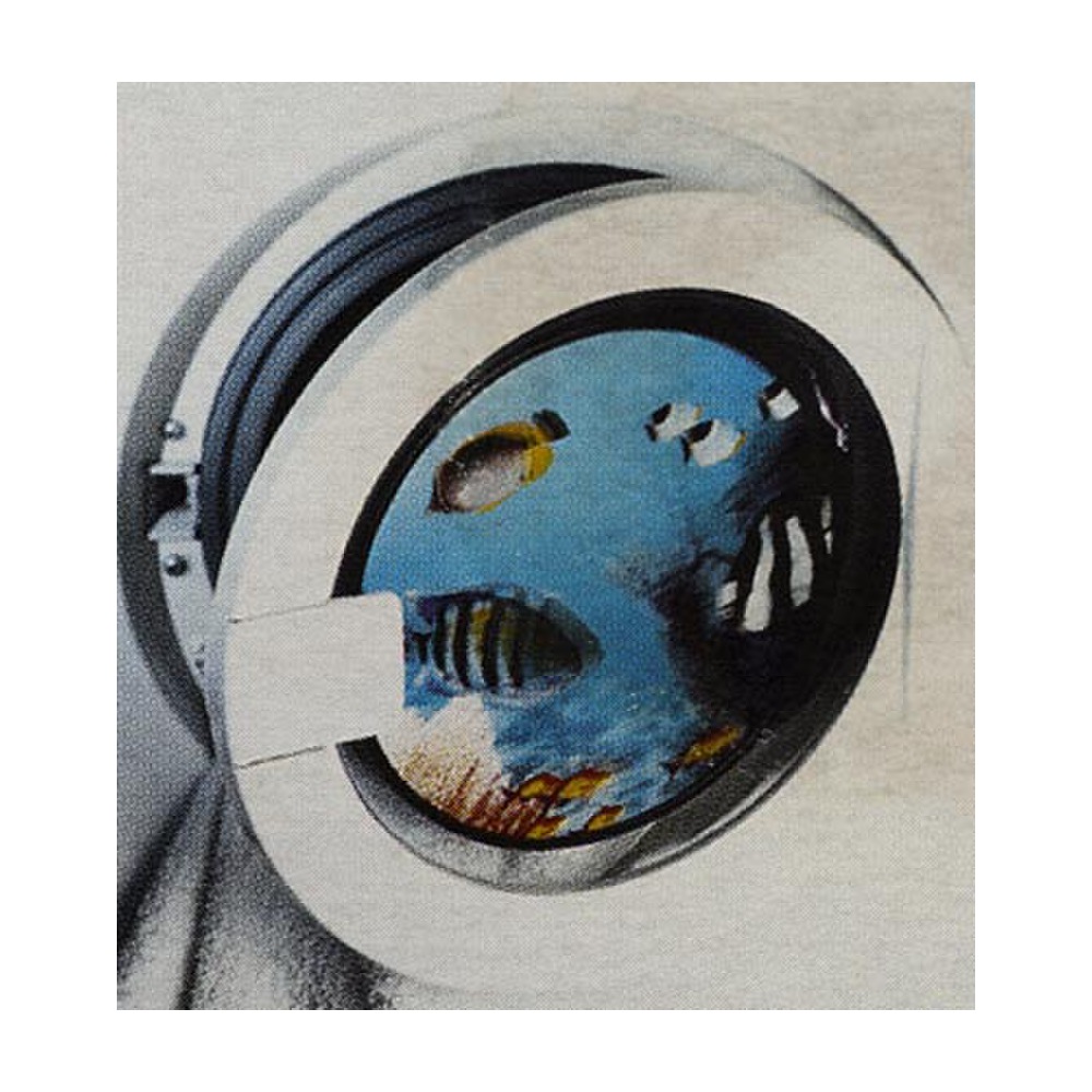 decoration for washing machine FISHES