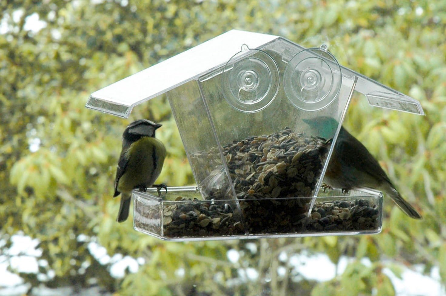 Dobar Fenster Vogelfutterhaus Futterstation Wildvogelfutterspender Futtersäule