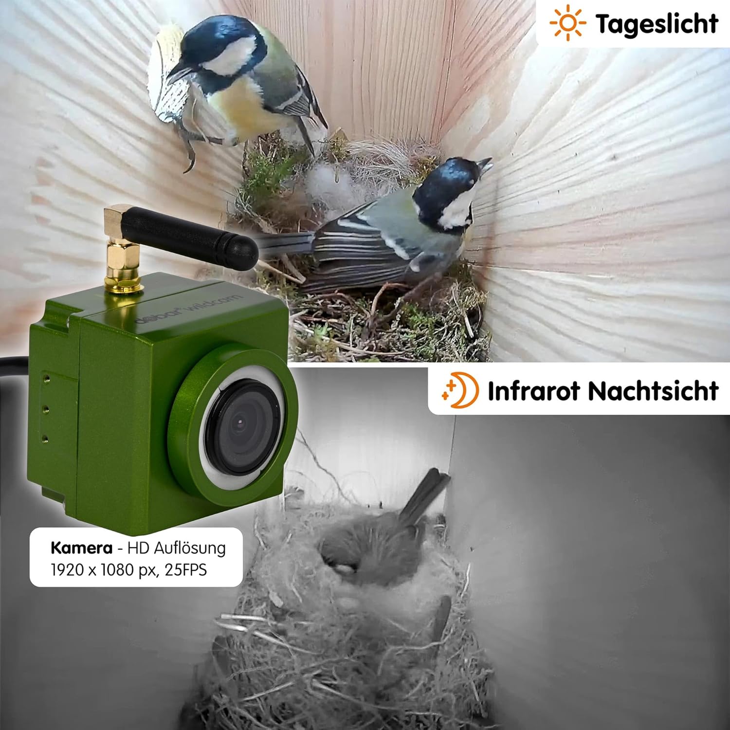 dobar Großer Nistkasten Flachdach aus Holz inklusive HD WiFi-Kamera und App mit austauschbaren Einfluglöchern - 35,5 x 22,5 x 38,5 cm  Grün-Braun