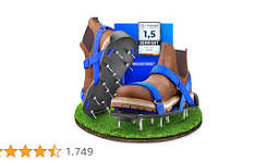 Sandale, Weste, Rettungsweste, Geburtstagstorte, Schuh