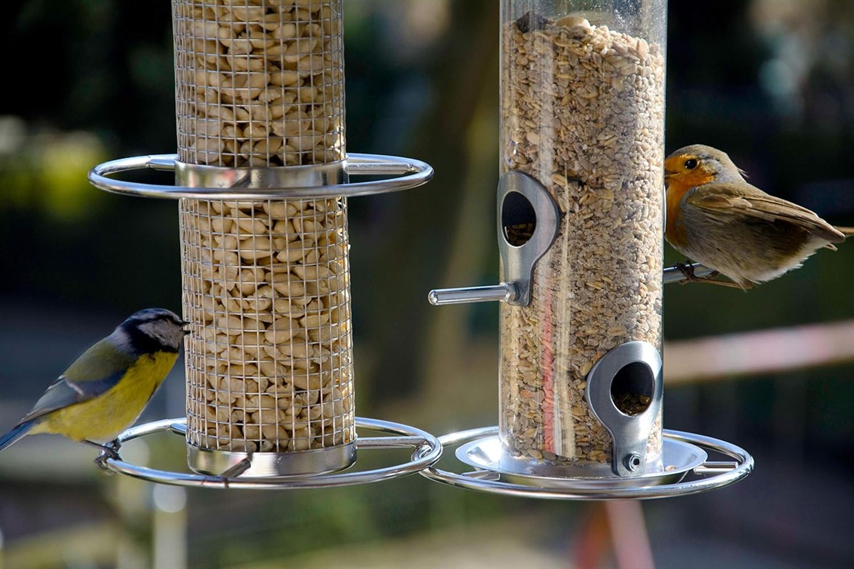 Vogelfutter, Sichtbarer Nahrungsbehälter, Körnerfutter, Vogelhaus-Perch, Gartenfutter