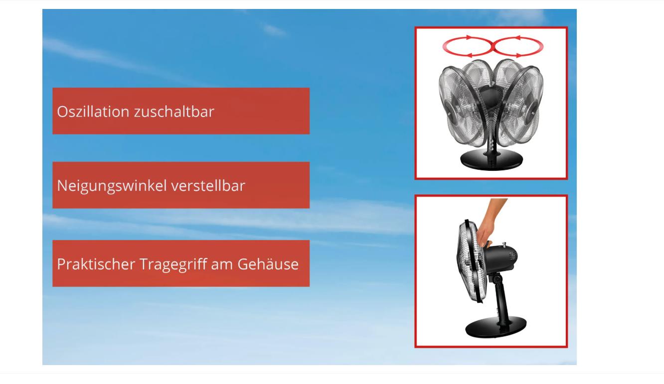 Unold Silverline Tischventilator 25 cm Schwarz/Silber 25 W mit Tragegriff