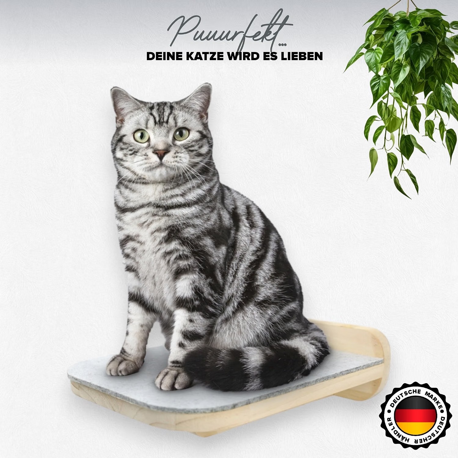 Katzenliegebrett, Wandmontage, Holz, Graue Liegefläche, Kratzmöbel