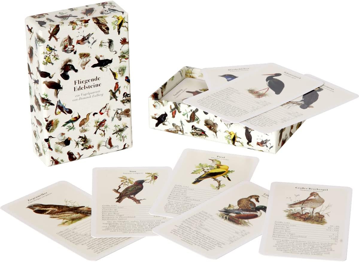 QianShouYan Eulberg Flying Gemstones - A Bird Quartet by Dominik