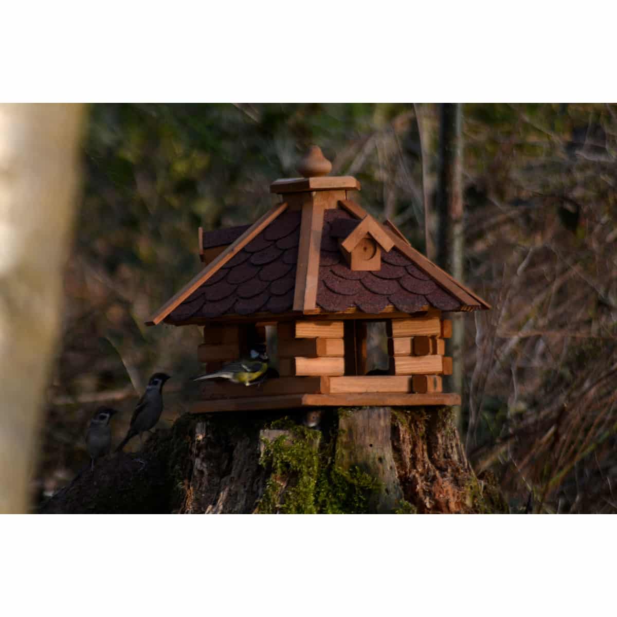 Dobar 6-eckiges Vogelhaus Rustikal mit rotem Bitumendach Kiefer DH140