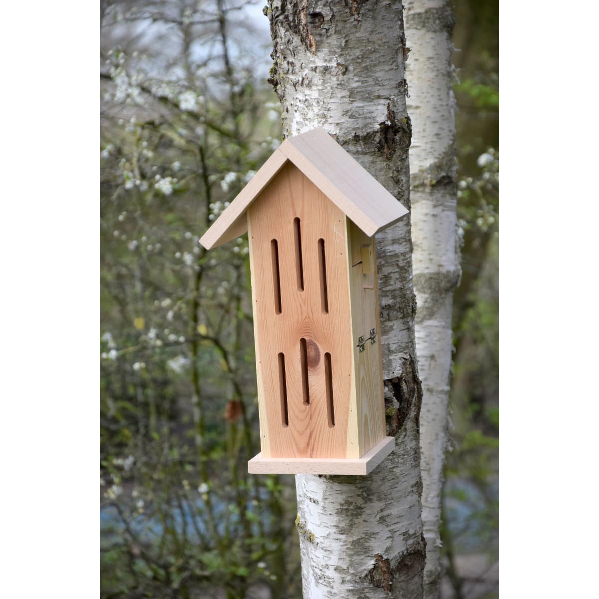 Dobar Schmetterlingshaus Sonnenfalter Natur Zitronenfalter Admiral Insektenhotel