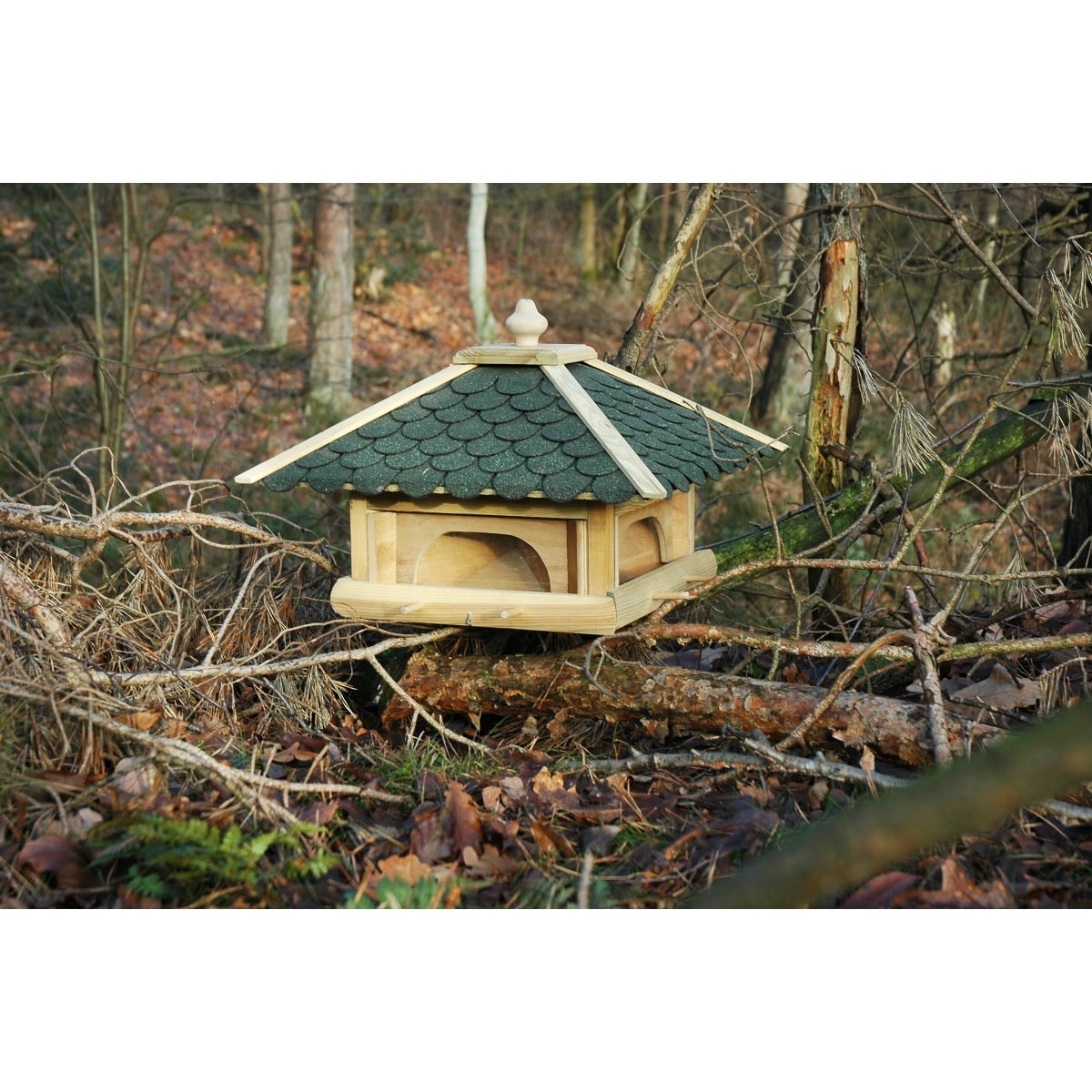 Nistkasten, Holz, Grüne Schindeln, Vogelnestkasten, Waldumgebung