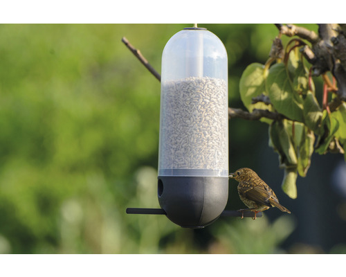 dobar Vogelfutterspender Cornbar 9x25 cm grau