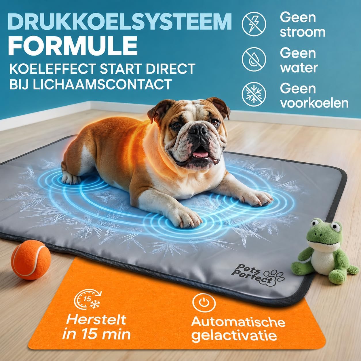 hond, hondenmat, zoals, sport, matras