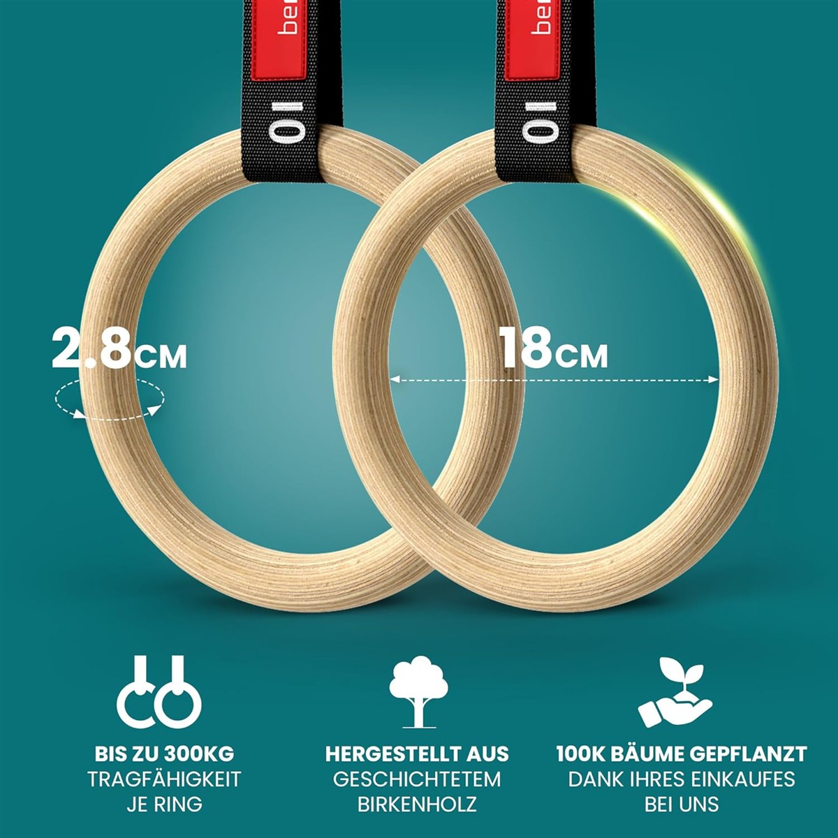 Holzringe, Kletterring, Birkenholz, Ø 18 cm, Ø 2,8 cm