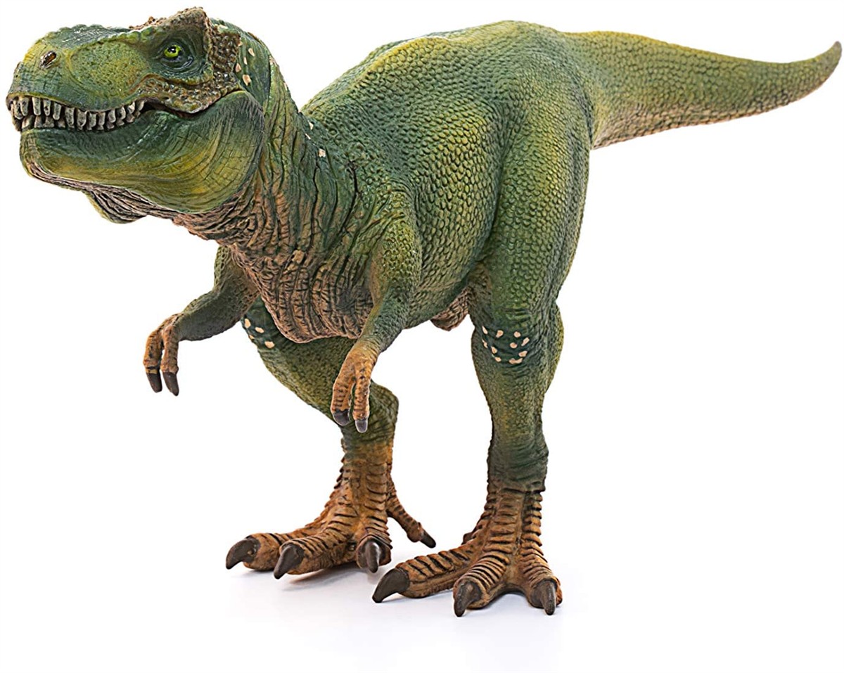 Dinosaurier, T-Rex, Modell, grün, Fossilien-Optik