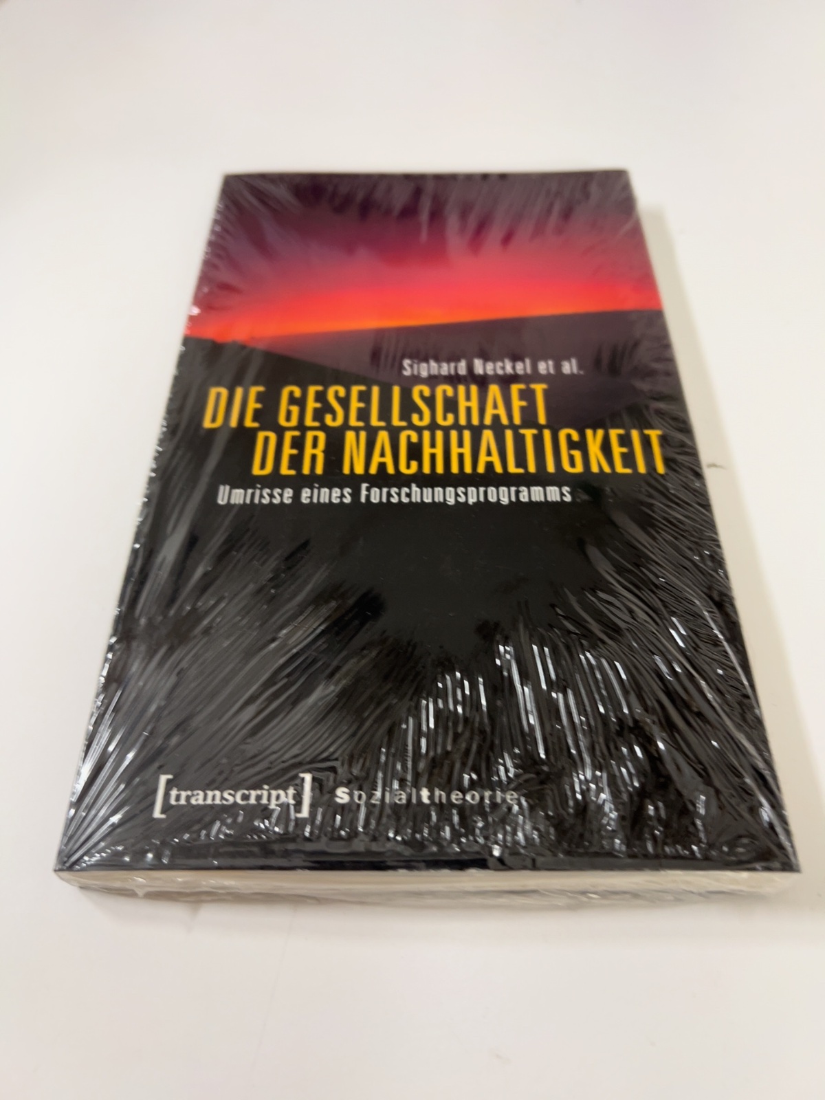 Buch, Fachliteratur, Sozialtheorie, Nachhaltigkeit, Transkript