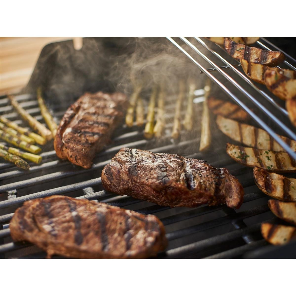Weber Gasgrill Spirit E-210 Classic mit 2 Brennern Schwarz