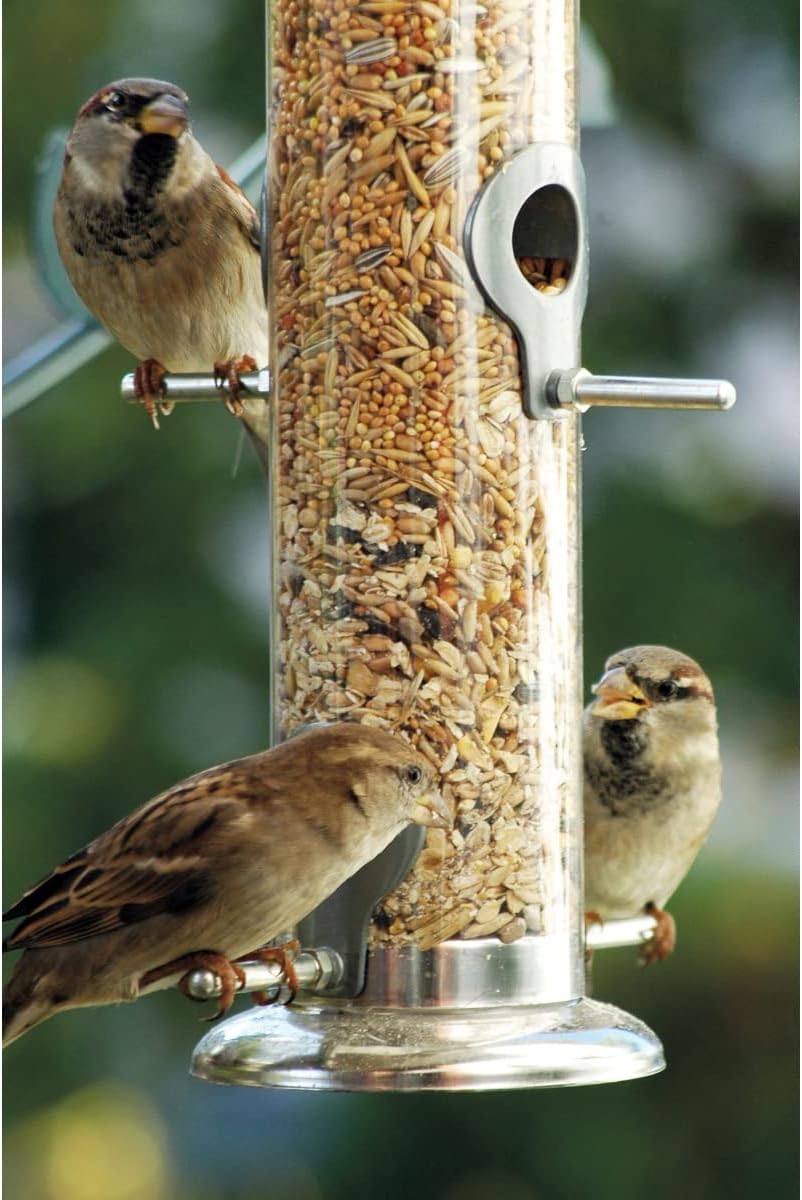 Vogel-Futter, Vogelfutter, Sämereien, Futterspender, Meisenknödel-Behälter