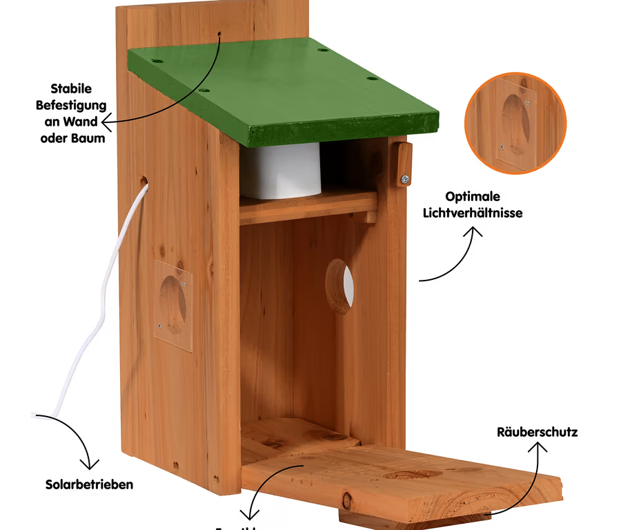 Holzständer, Kletterstuhl-Top, Holz, Lichtverhältnisse, Räuberschutz