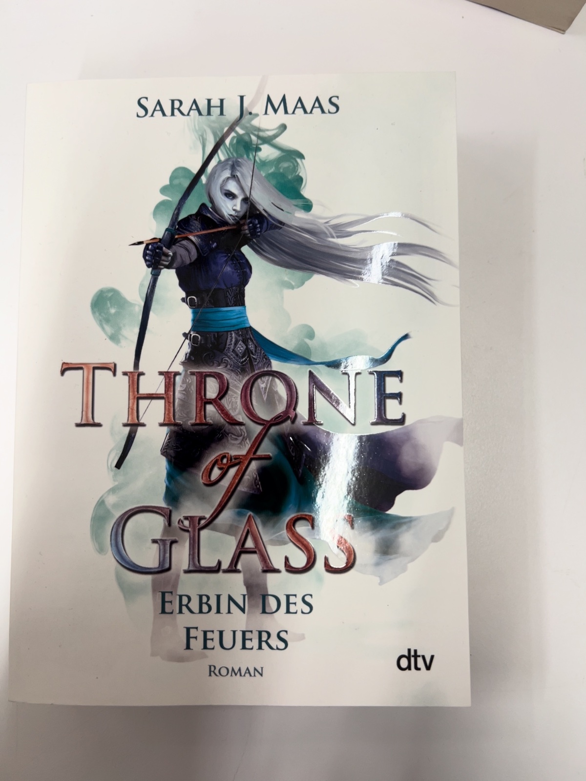 Roman, Fantasy, Buchcover, Erin des Feuers, Throne of Glass
