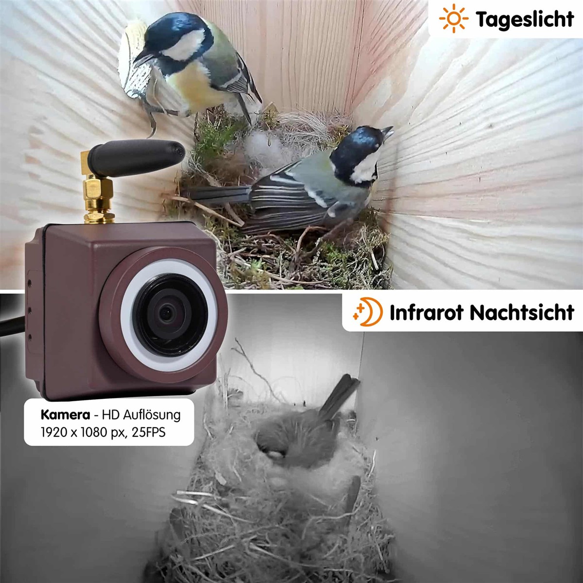 Dobar WiFi HD Kamera für Wildtierbeobachtung #D320