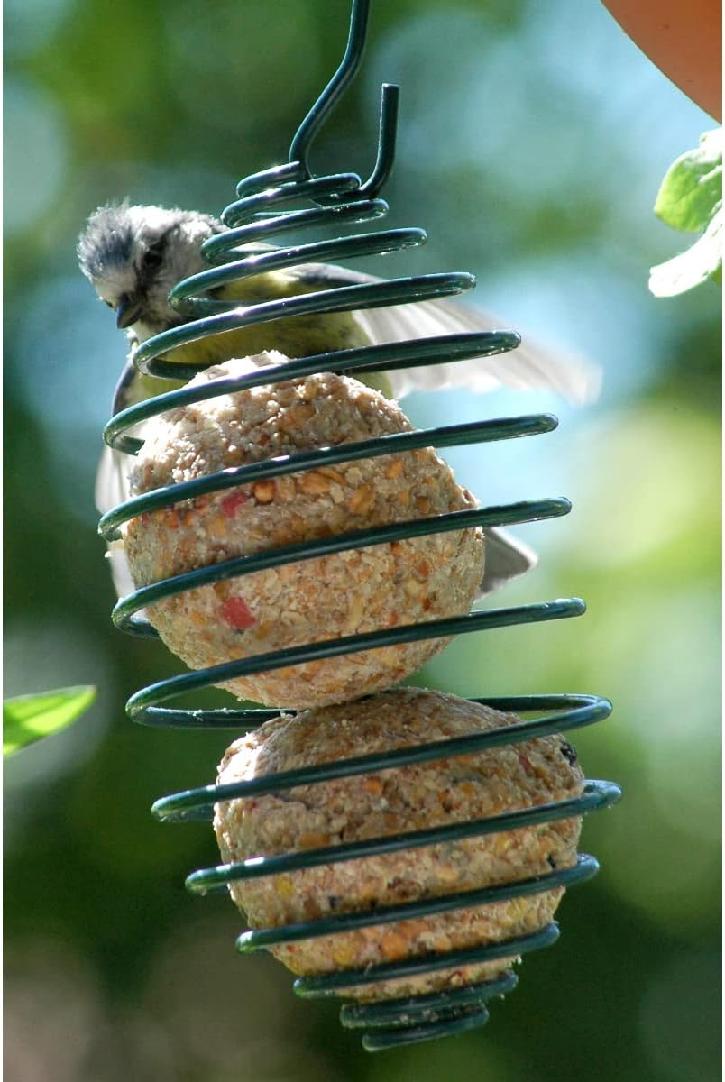 Meisenknödelhalter Futterspirale Grün - Vogelfutterspender Metall Ø 7,5 cm