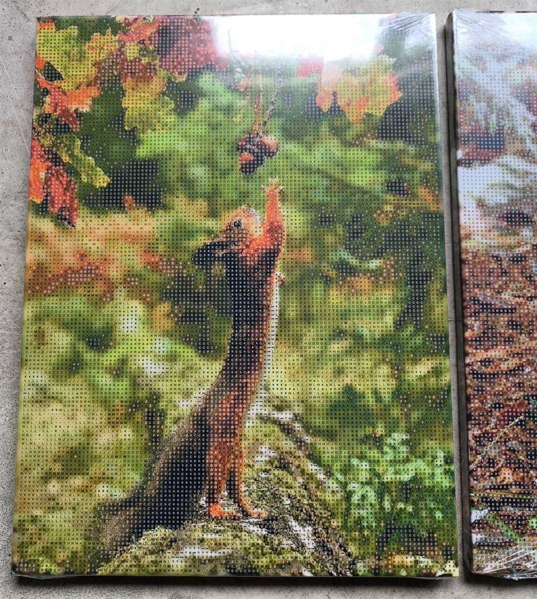 Weltbild Diamond Painting Eichhörnchen Trio auf Leinwand 30 cm - 3er Set