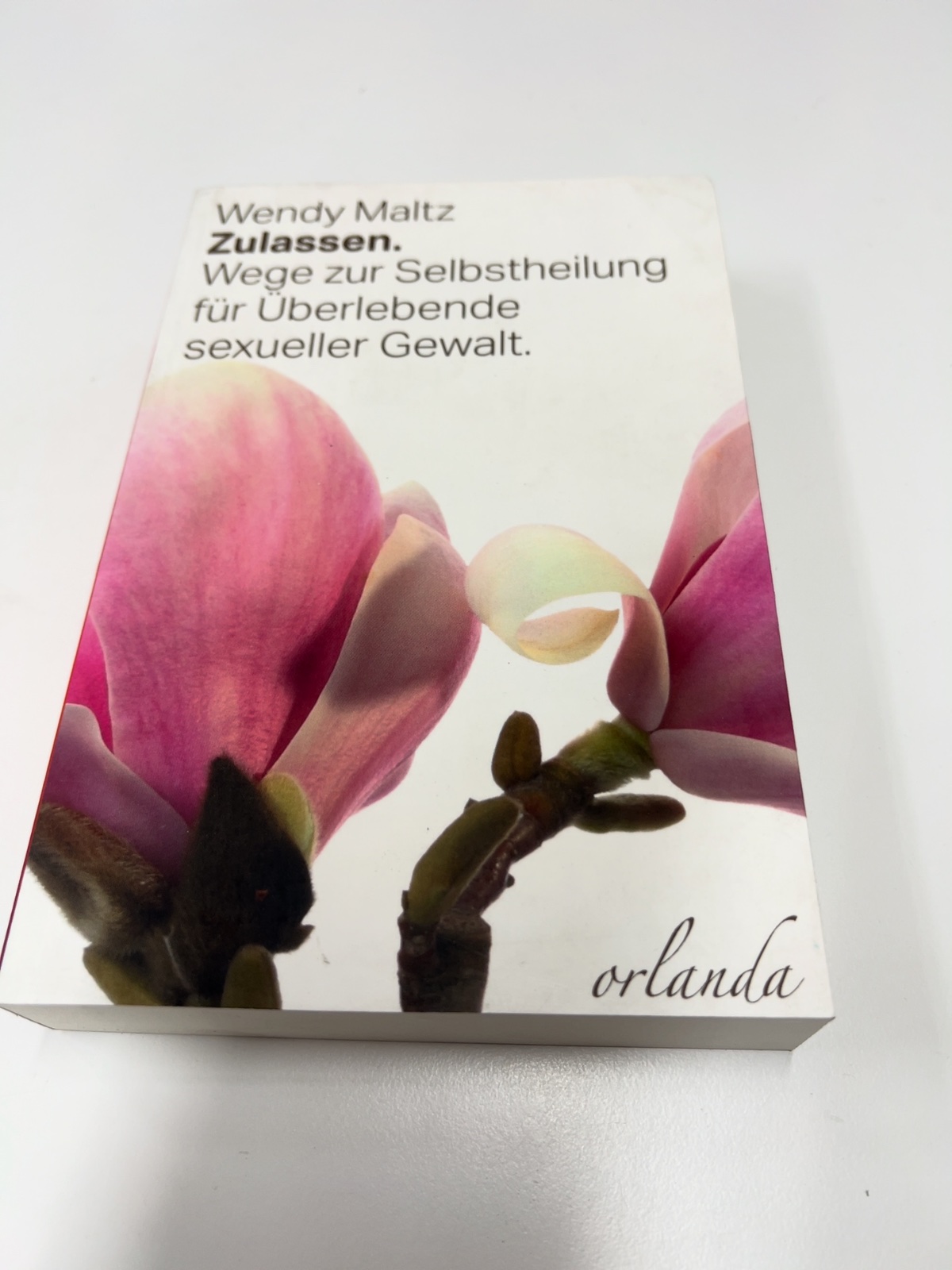 Buch, Literatur, Zulassen, Wege, Selbstheilung