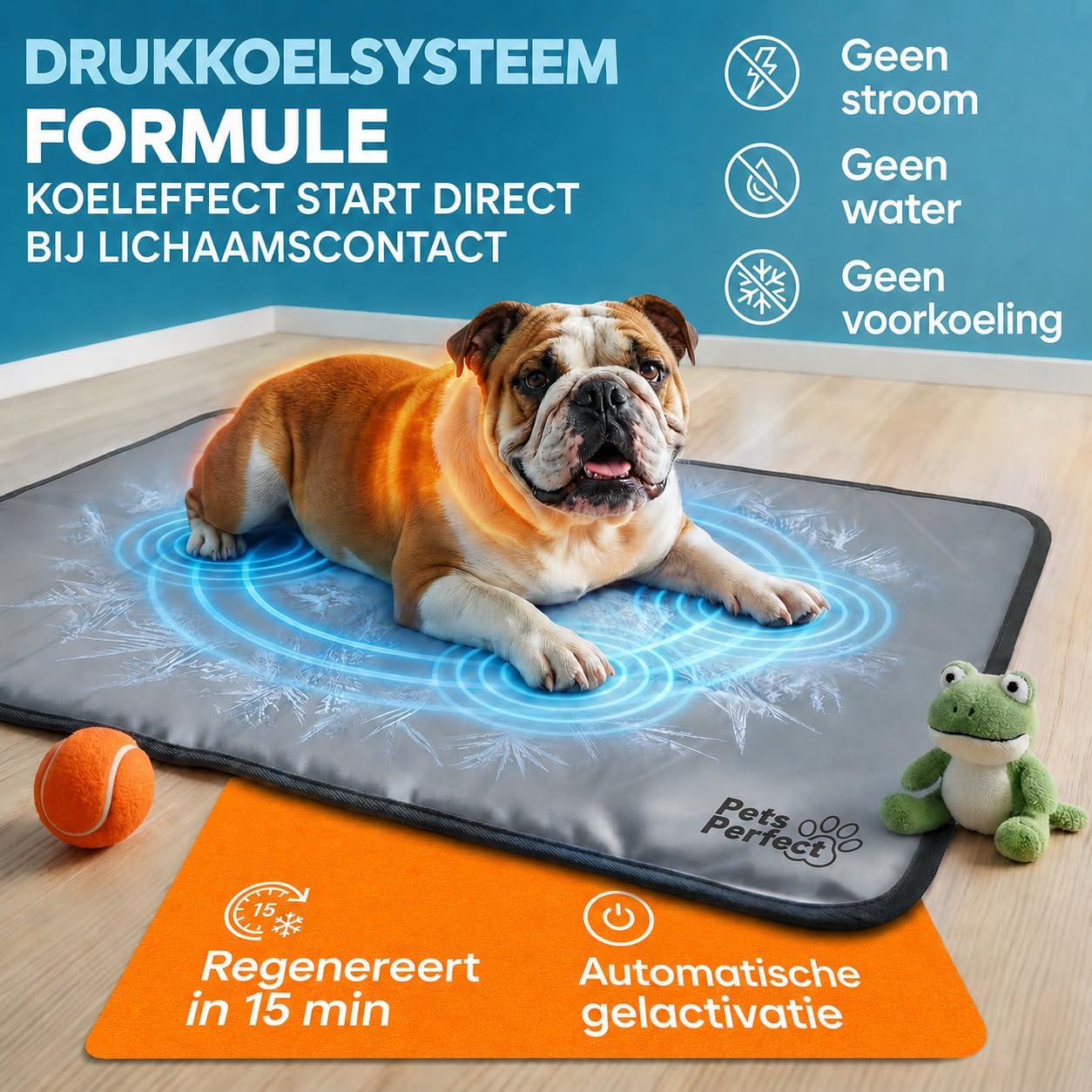 Hundematte, Tiermatte, blaues Kreismuster, Mops, Spielzeug Frosch