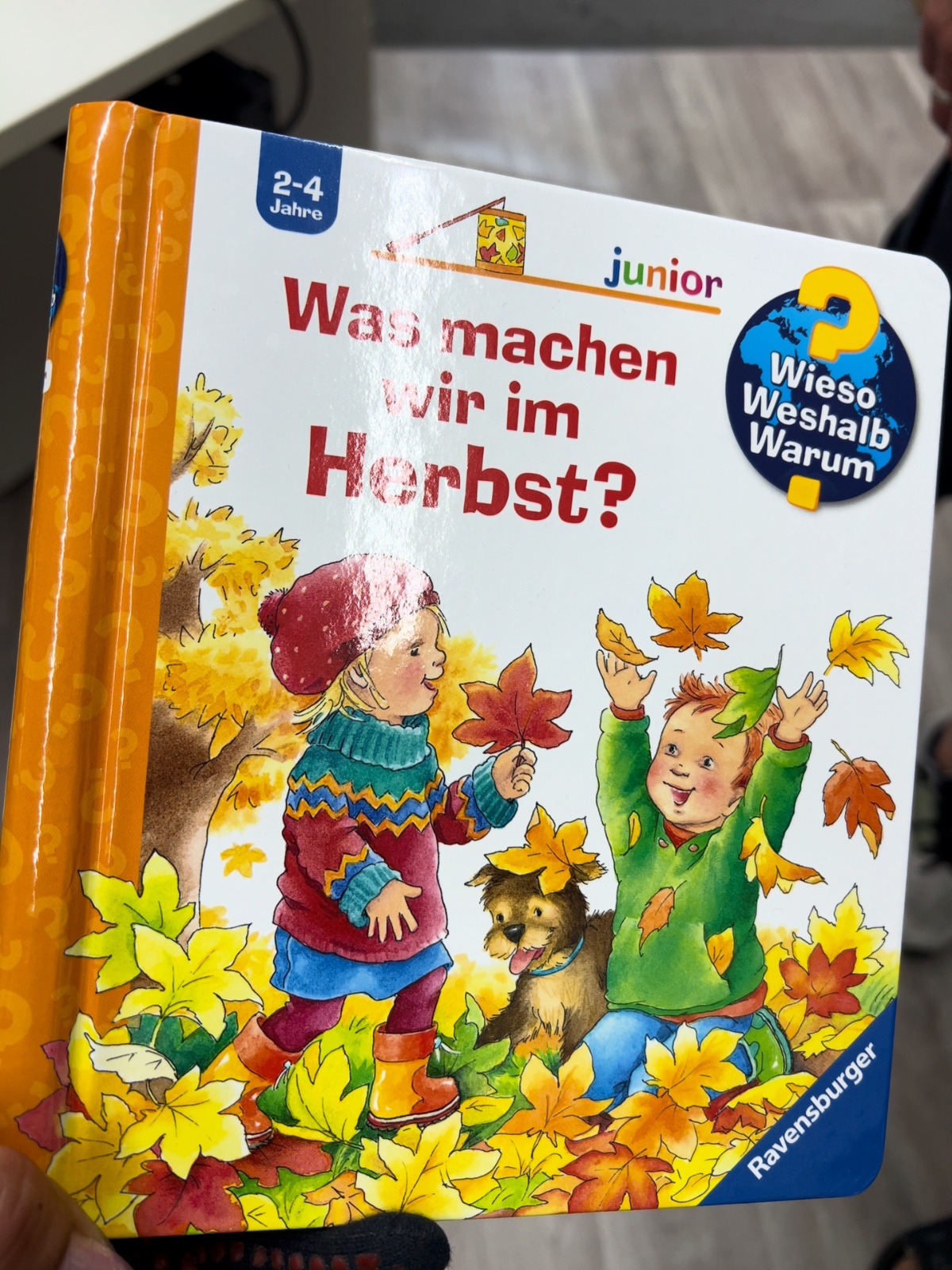 Kinderbuch, Herbst, Blätter, Kinder, Ravensburger