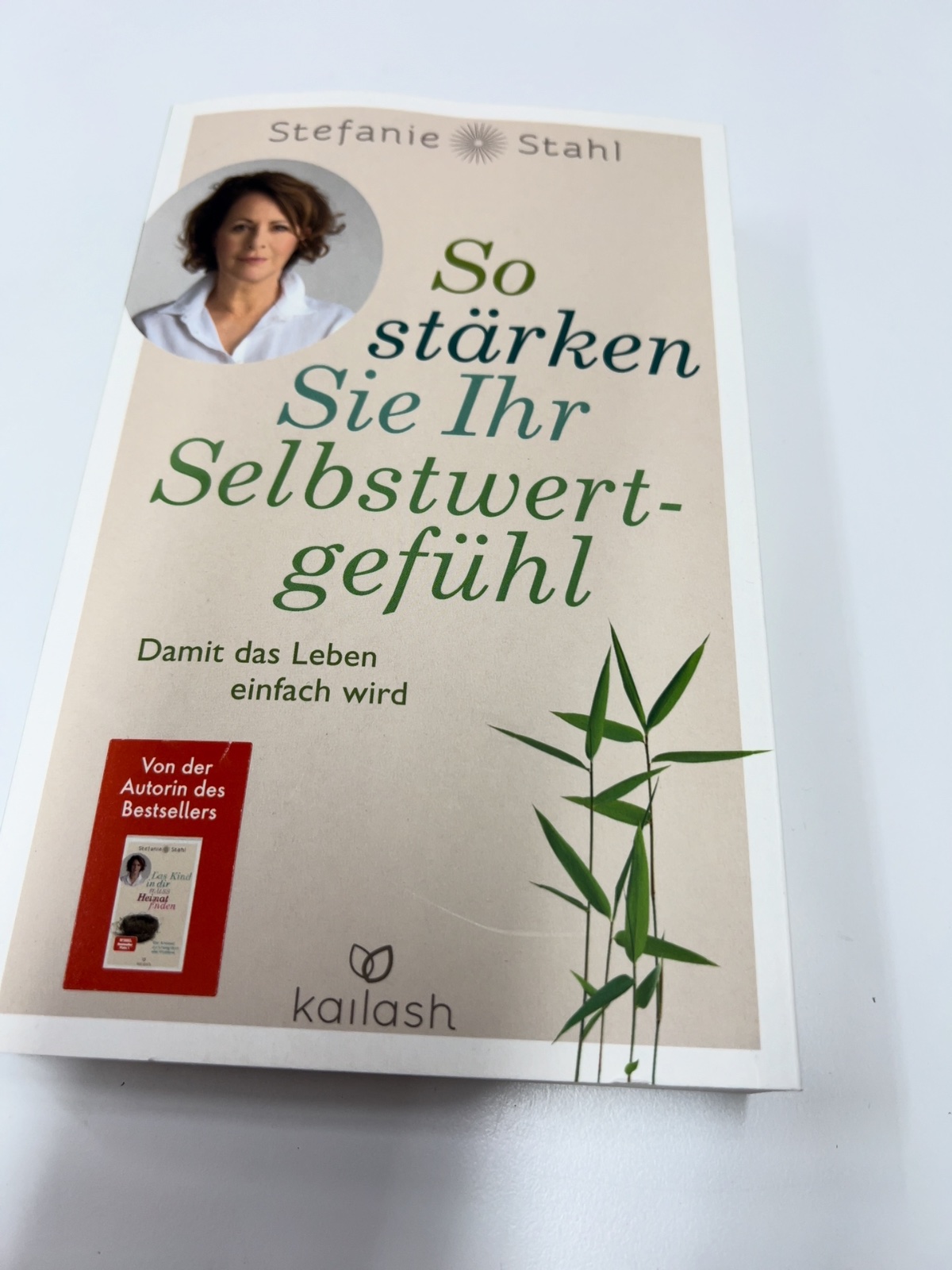 Buch, Selbsthilfe, Motivation, Ratgeber, Kallash