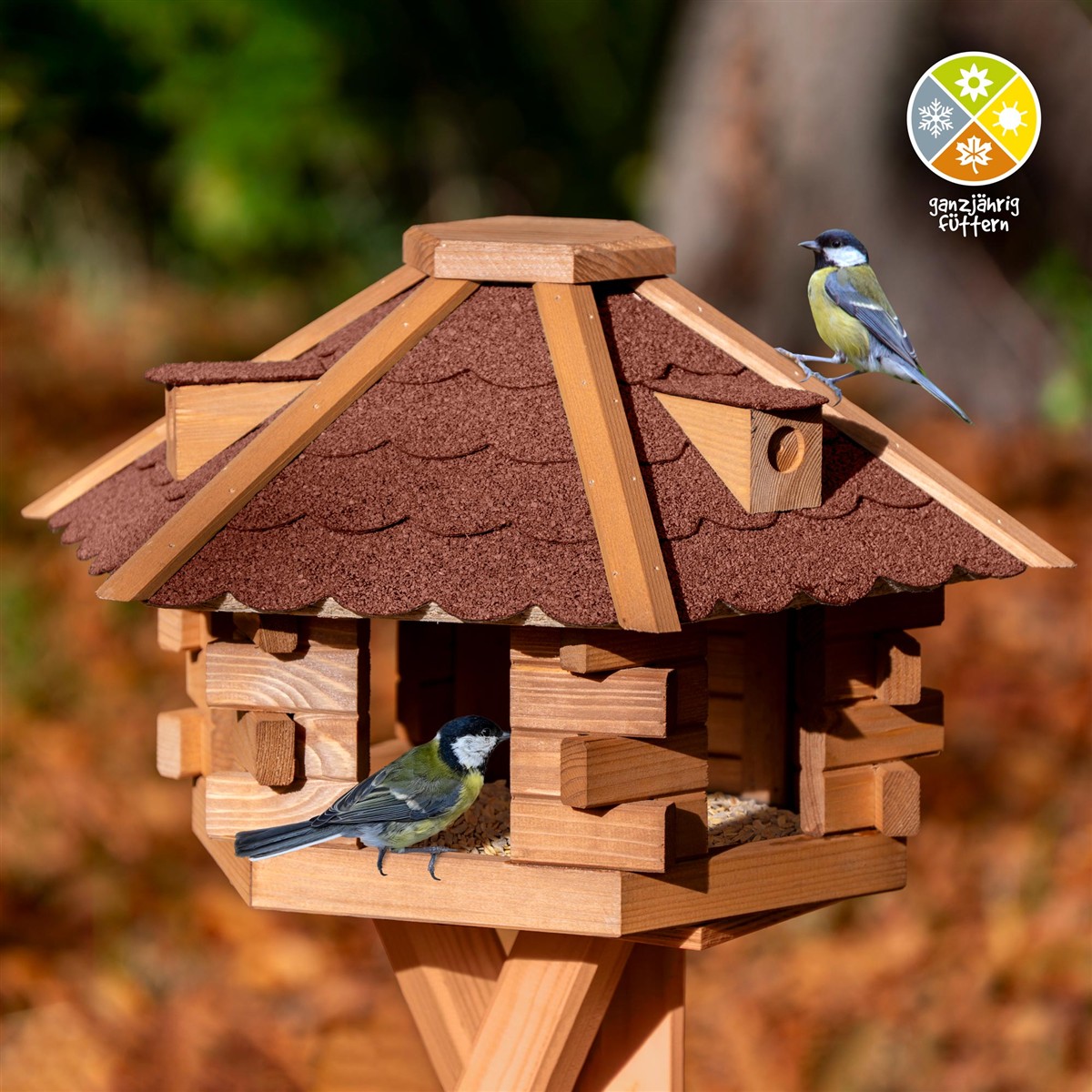Vogelhaus, Vogeltränke, Futterhaus, Holz, Häuschen