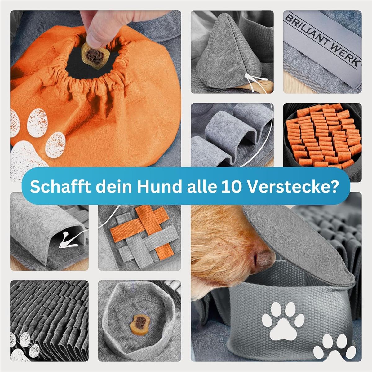 Briliantwerk Schnüffelteppich Hund – Extrem widerstandsfähiges Material - 10 Trainingselemente und 3 Schwierigkeitsstufen Intelligenzspielzeug orange