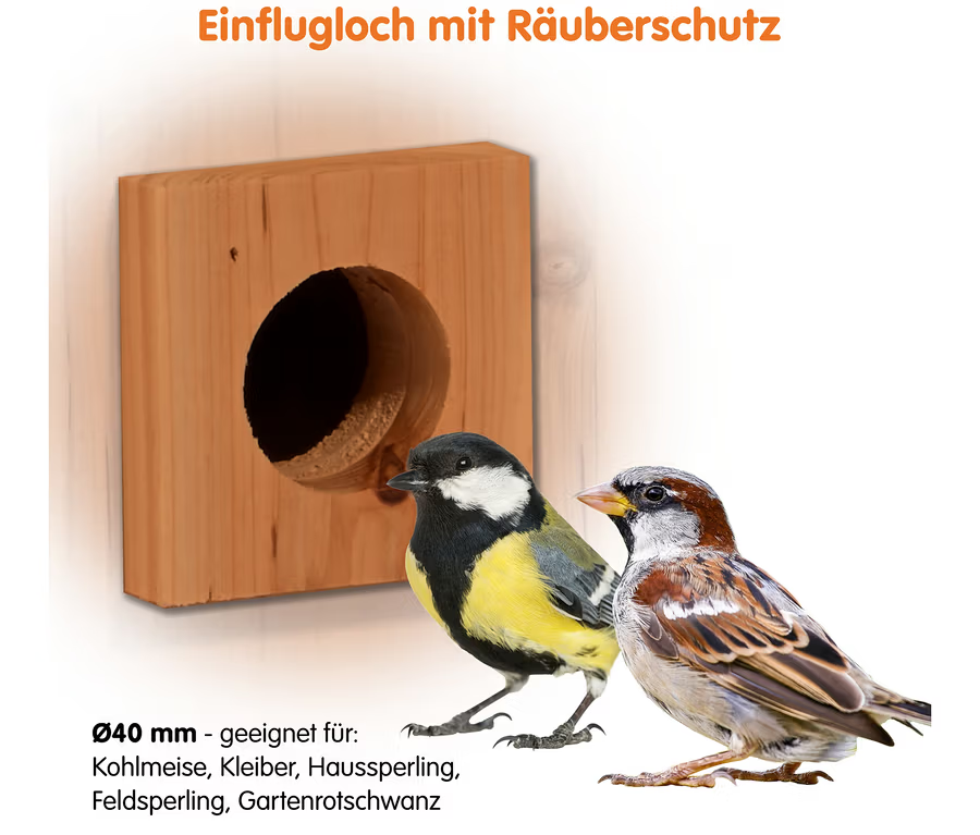 Vogelhaus, Meisenkasten, Räuberschutz, Kohlmeise, Sperling