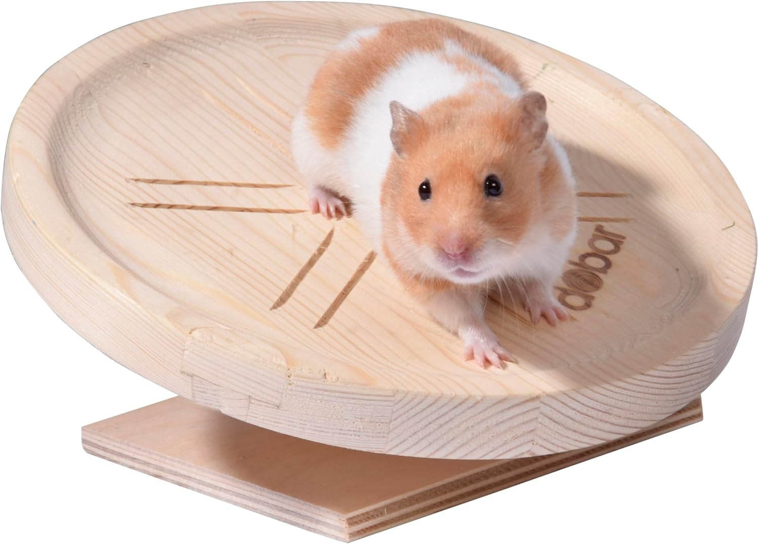 Dobar Laufteller Spidi Laufplateau für Kleintiere aus Holz