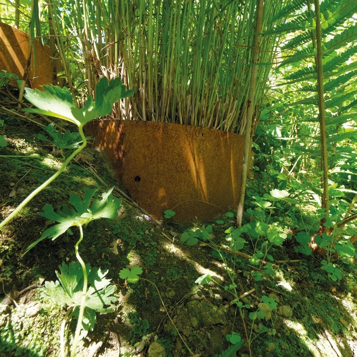 verwitterter Metallbehälter, Bambusstaude, Gartenbeet, Rost, Außenbereich Pflanzcontainer
