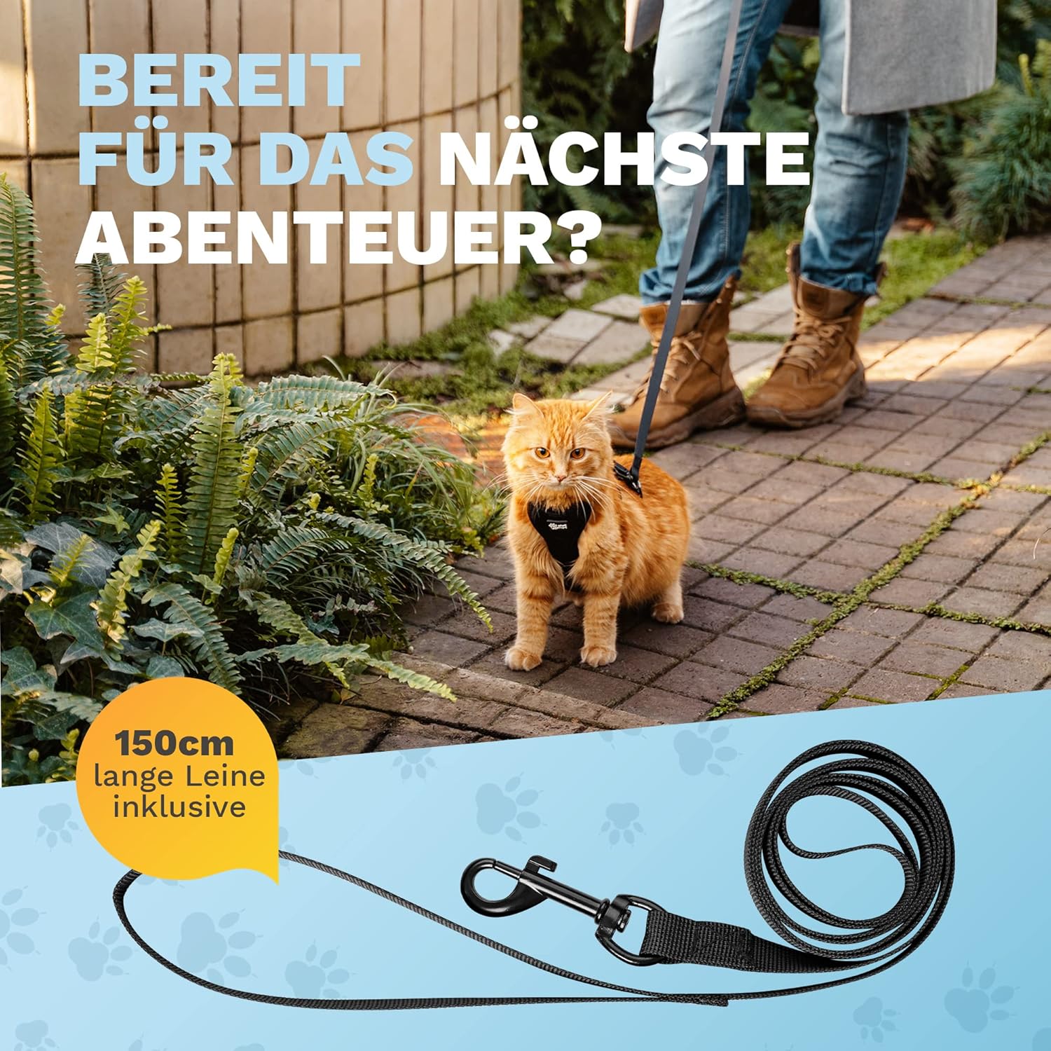 Katzengeschirr, Katzenleine, schwarzes Nylon, 150 cm Leine