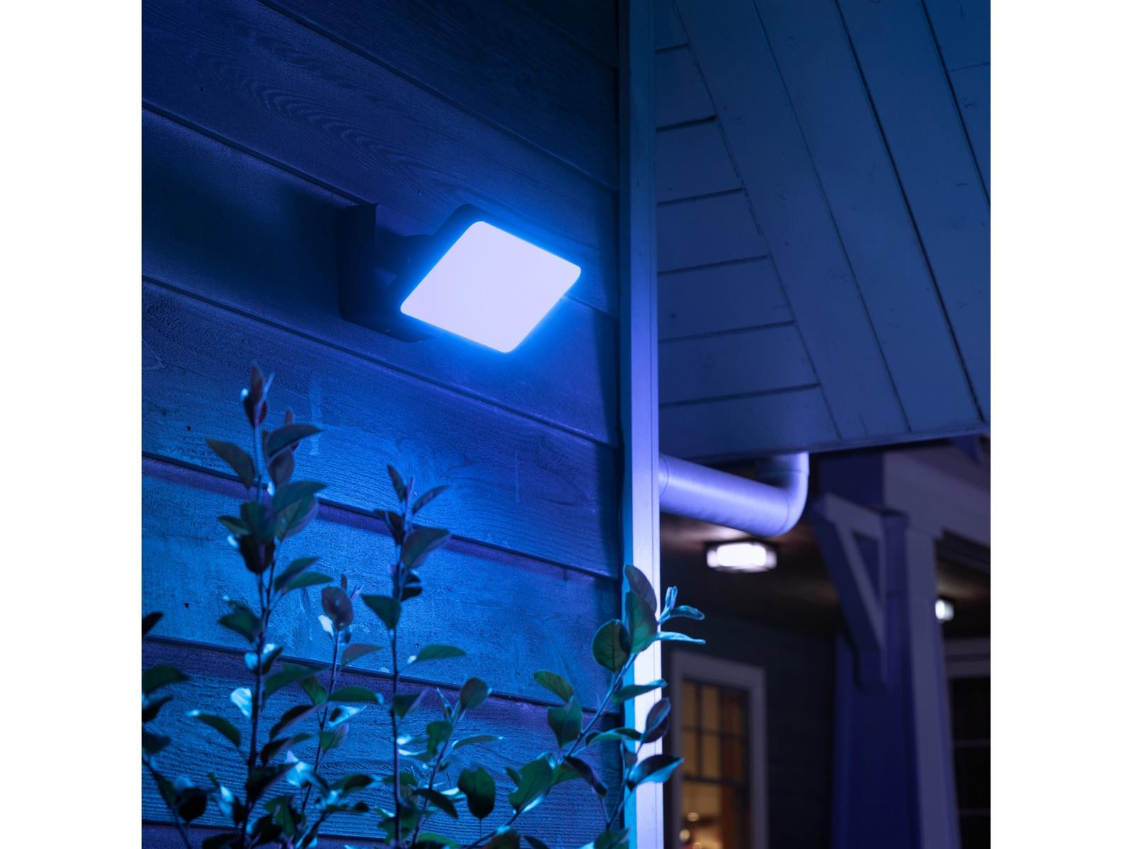 Philips Hue White & Color Ambiance LED Wandlampe Flutlicht Discover