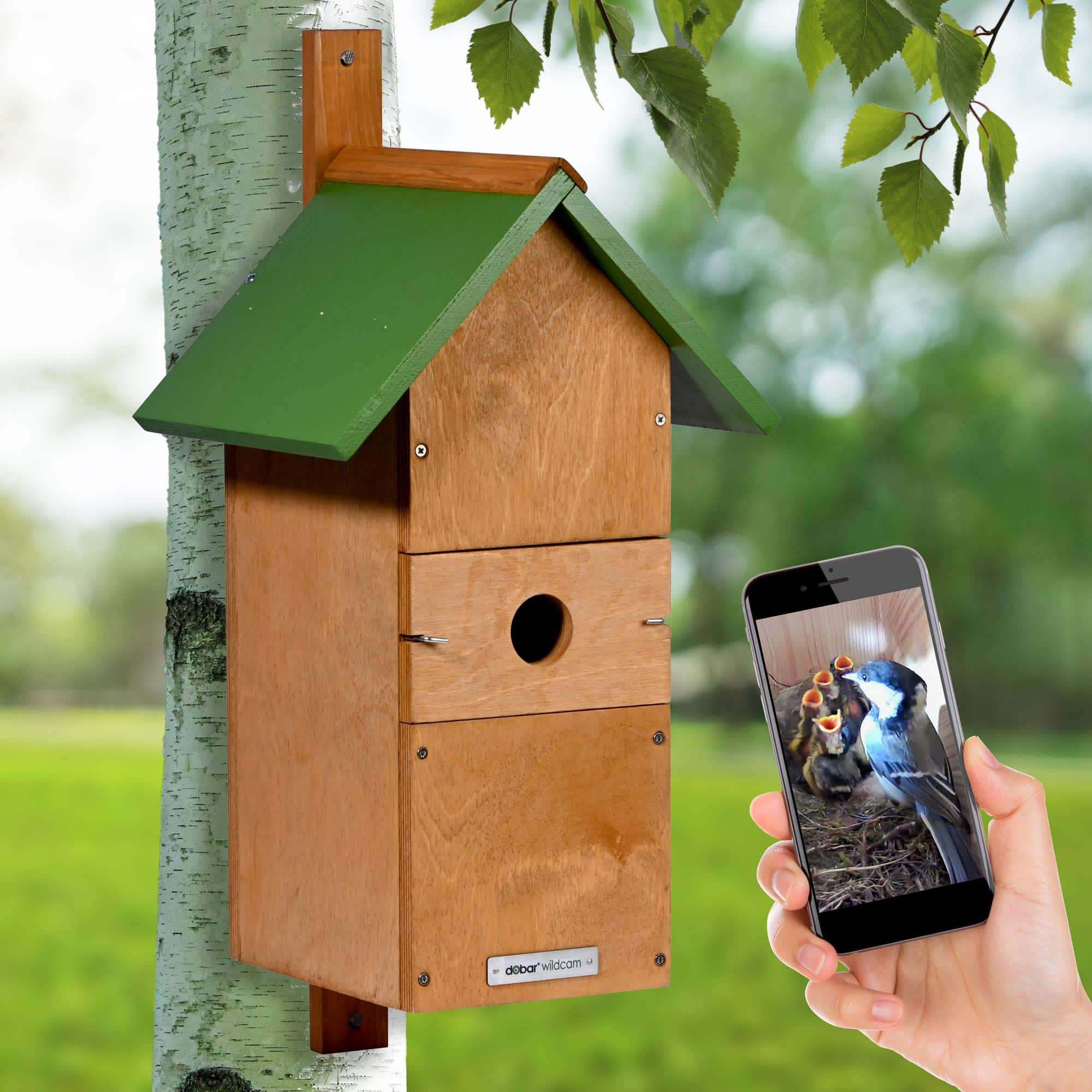 Dobar Nistkasten Spitzdach „Karsten" WiFi-Kamera und App #D357
